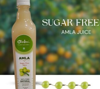 Orgatma Sugar Free Amla Juice 500 ML